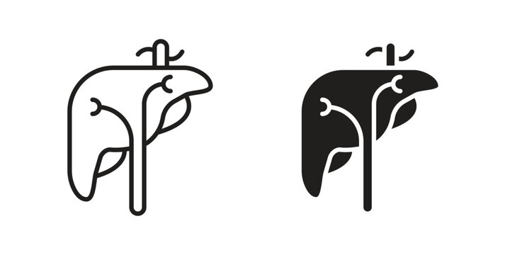 Liver icon Vector isolated design element. EPS10