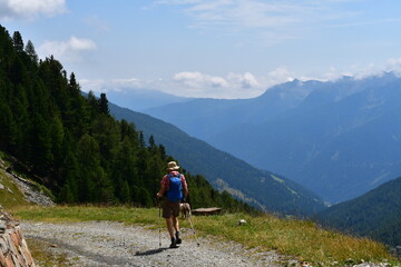 Ein Mann und sein Lagotto Romagnolo Hund wandern im Ultental in S&uuml;dtirol 
