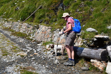 Mann und sein Lagotto Romagnolo Hund wandern in Südtirol 