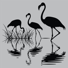 Flamingos Standing in Water with Reflection silhouette vector design art and illustration