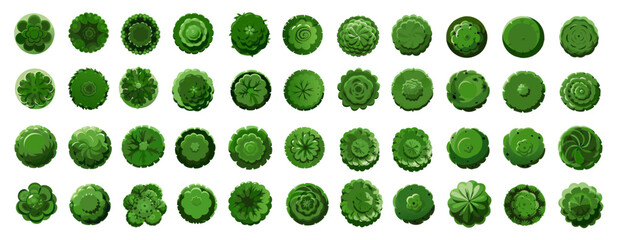 Vector Top View Tree Collection in Various Green Styles for Landscape Architecture and Garden Planning.