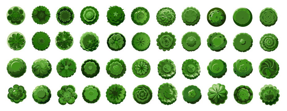 Vector Top View Tree Collection in Various Green Styles for Landscape Architecture and Garden Planning.