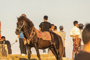 Naklejka premium Humans, Horses, and a Thousand Hills: A Symphony on Piarakuku's Ridge