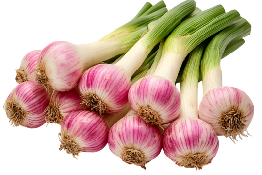 Leek or field garlic on white background
