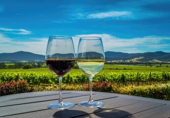 Two wine glasses on a table with a vineyard view