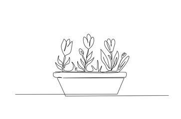 Potted houseplant flowers in continuous one line drawing. Single line art illustration of flower in pot.