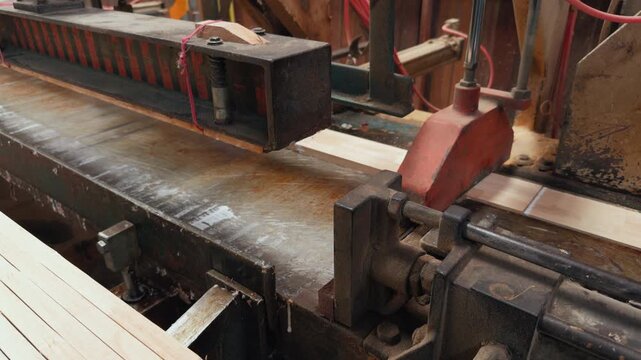 Industrial woodworking machine processing laminated rubberwood panel in carpentry factory, close-up of cutting process, sawmill equipment for timber manufacturing, plywood board production line