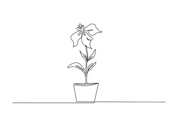 Potted houseplant flowers in continuous one line drawing. Single line art illustration of flower in pot.