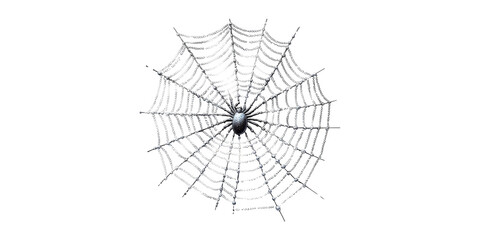 Fototapeta premium Spider Web With Metallic Chains And Beads. Artistic Representation Of Intricate Design Isolated On Transparent Background