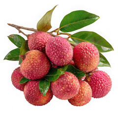 Lychee fruits with leaves on a branch isolated on transparent background