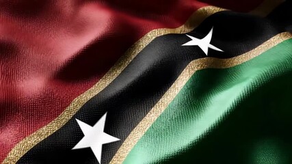 The vibrant flag of Saint Kitts and Nevis waves proudly, symbolizing the nation's independence and cultural heritage during a celebratory moment.