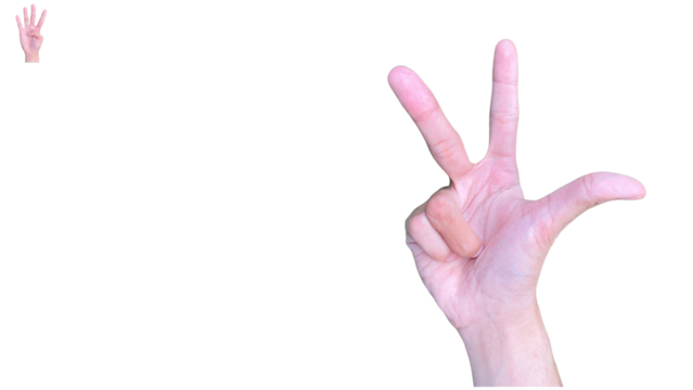 hand of the person. hand of a woman. female hands isolated. female hands isolated on white background. female hands isolated on white. hand of the child