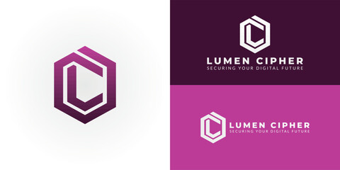 This modern hexagon logo represents our commitment to cybersecurity and software development, embodying secure, innovative solutions tailored for the ever-evolving digital landscape.