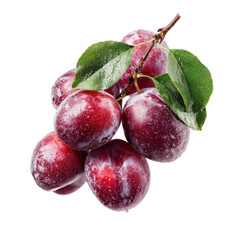Obraz premium Cluster of plump, deep red plums on a branch with green leaves