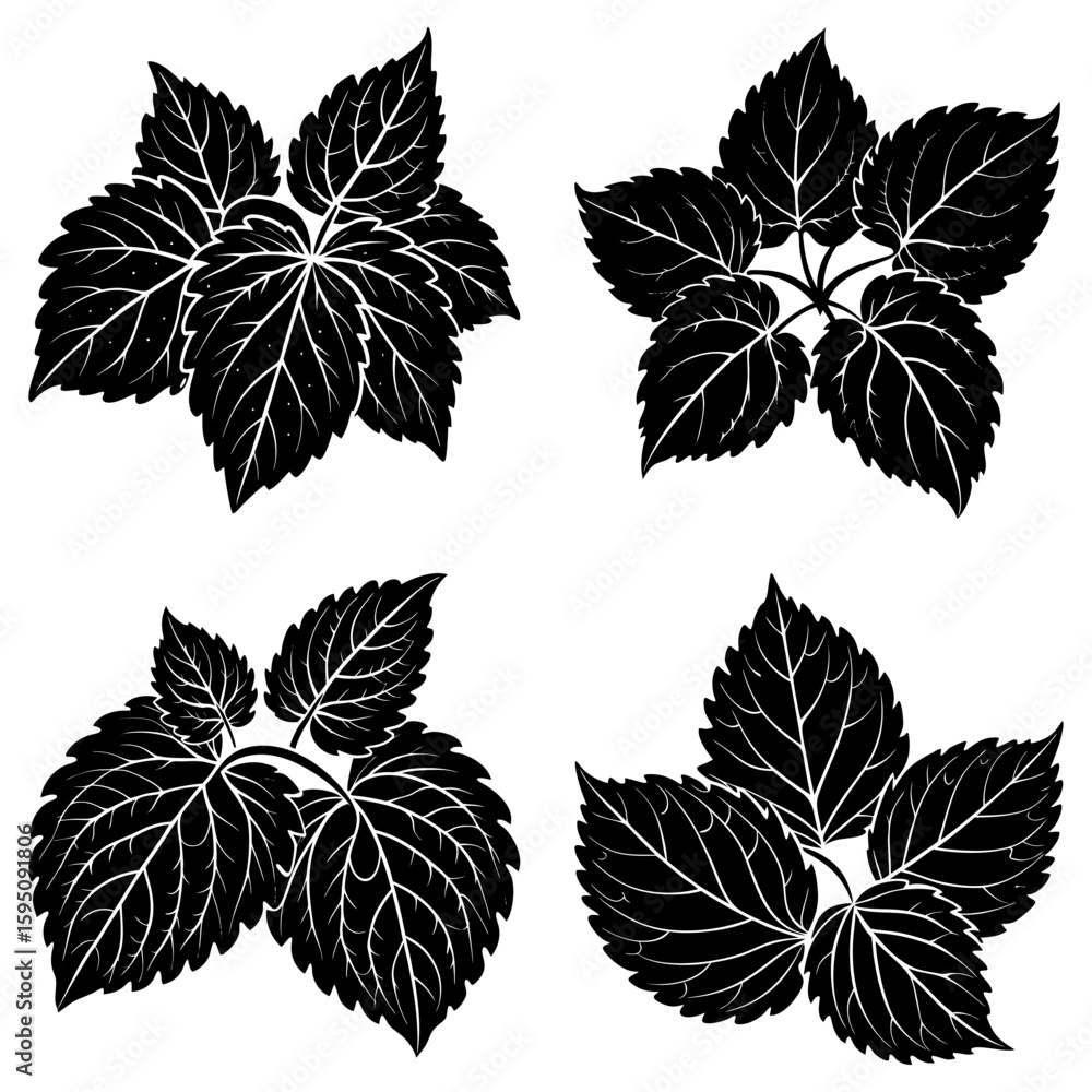 Poster four black leaf clusters with detailed venation arranged on a white background in a square format
