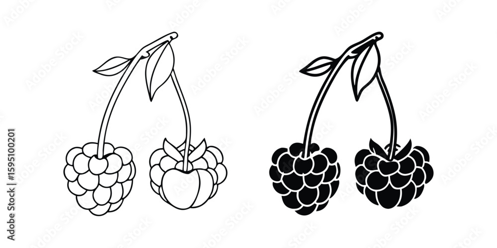 Poster raspberry illustration set with color and black versions on transparent background this image featur