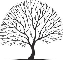 Obraz premium Black Tree Silhouette with Branches and White Background