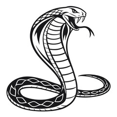 Fototapeta premium A majestic cobra snake with its hood flared and fangs exposed