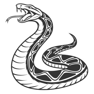 snake coiled, open mouth, black and white clip art preview