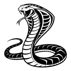 Fototapeta premium A cobra snake with open hood isolated on white background