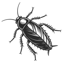 Stylized black and white cockroach illustration isolated on white background