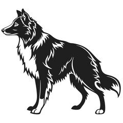 Fototapeta premium A stylized silhouette of a border collie dog