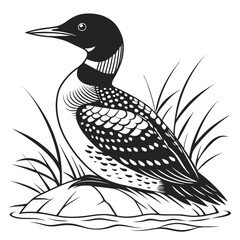 Obraz premium Loon perched on rock by water with reeds