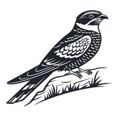 Fototapeta premium A falcon perched on a grassy branch, isolated on white