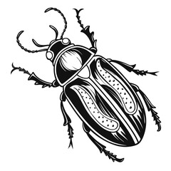 A stylized drawing of a beetle with intricate wing patterns