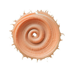 Obraz premium Single spiral brush stroke with a partially broken form and jagged bristle edges, painted in a soft gradient from peach to mint green, abstract textured design on white background, high-res PNG