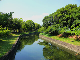 A water path running through the forest of the public sports park.
A view of the park in the rainy season in Japan.
