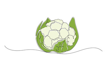 Hand-drawn cauliflower continuous outline vector. Cauliflower line art drawing