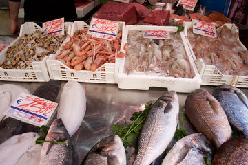 Fresh seafood display at local market featuring fish, shrimp, and octopus with price tags and...