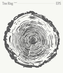 Natural Wood Texture, Annual Rings, Tree Trunk Section