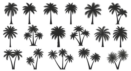 Collection of stylized silhouette palm trees in various clusters and single arrangements isolated on transparent background