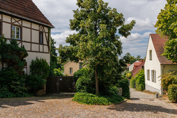 Die Insel Werder in den Havelkssen in Brasndenburg