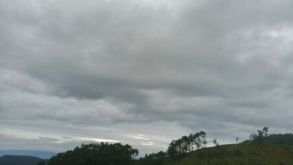storm clouds over the forest