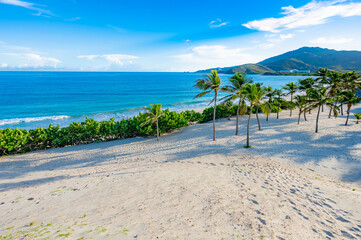 Scenic Beach View with Palm Trees and Lighthouse