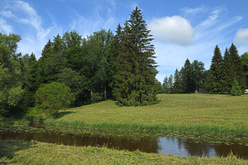 Slavyanka River in Pavlovsk Park in summer, suburb of Saint Petersburg, Russia