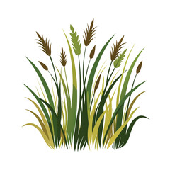 Illustration of a lush clump of tall green reeds and cattails against a white background