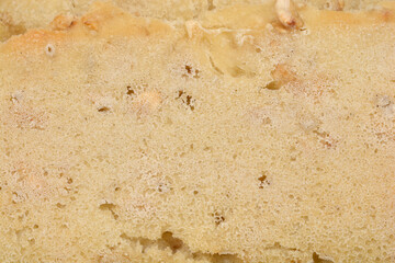 A detailed close-up reveals the porous texture and air pockets within the crumb of a freshly baked loaf