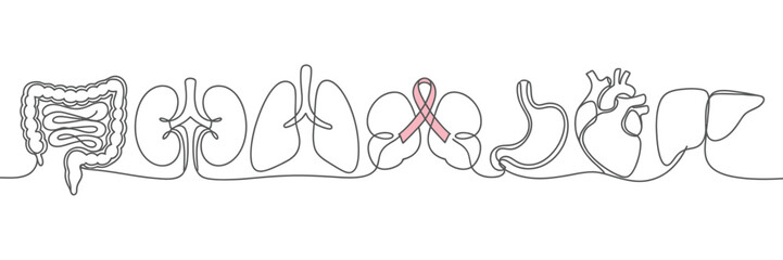 Obraz premium Continuous Line Drawing of Lungs Ovaries and Stomach with Pink Ribbon