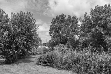 Obraz premium Die Insel Werder in den Havel-Seen