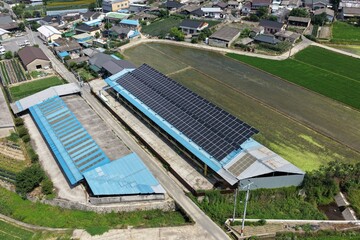 Solar Panels Installed on Hanwoo Cattle Farm Roof in Rural Korea - 한우 축사 지붕 위에...