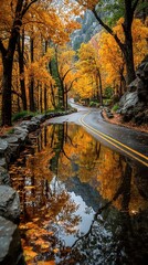 Autumn leaves reflect on winding road in mountain valley during late afternoon