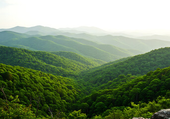 Naklejka premium Green Mountain Range Landscape View