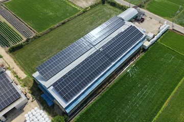 Solar Panels Installed on Hanwoo Cattle Farm Roof in Rural Korea - 한우 축사 지붕 위에...