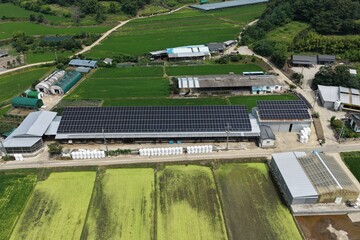 Solar Panels Installed on Hanwoo Cattle Farm Roof in Rural Korea - 한우 축사 지붕 위에...