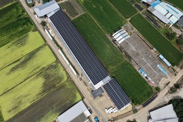 Solar Panels Installed on Hanwoo Cattle Farm Roof in Rural Korea - 한우 축사 지붕 위에...