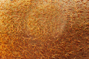 Close-up view of kiwi fruit skin showcasing intricate texture and natural patterns in warm lighting